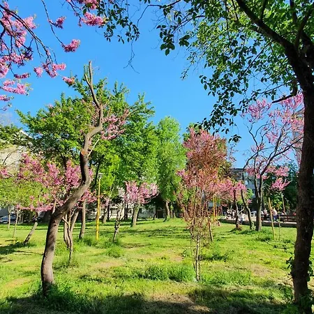 Bohemian City Center Near Neversea Beach Κονστάντζα